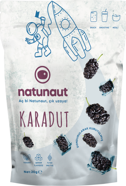 Kuru Karadut Meyve Cipsi - Dondurularak Kurutulmuş Freeze Dried Karadut