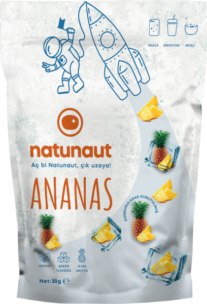Kuru Ananas Meyve Cipsi - Dondurularak Kurutulmuş Freeze Dried Ananas